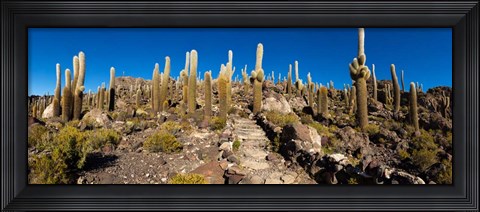 Framed View of the Isla del Pescado, Potosi Department, Bolivia Print
