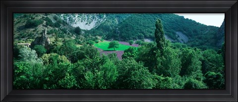 Framed Cherry Trees in Lavender fField, Provence-Alpes-Cote d&#39;Azur, France Print