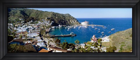 Framed Santa Catalina Island, CA Print