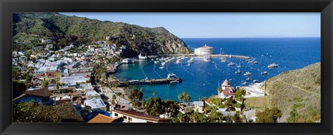 Framed Santa Catalina Island, CA Print