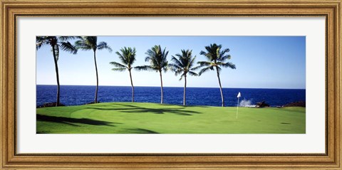 Framed Golf Course, Big Island HI Print