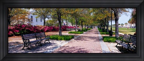 Framed Waterfront Park in Charleston, SC Print