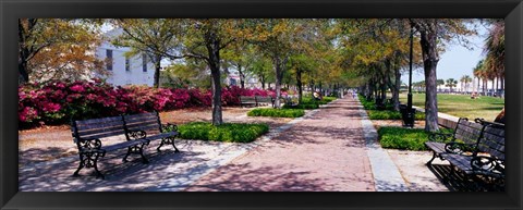 Framed Waterfront Park in Charleston, SC Print