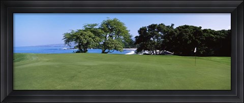 Framed Trees on a Golf Course, Manua Kea, Hawaii Print