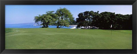 Framed Trees on a Golf Course, Manua Kea, Hawaii Print