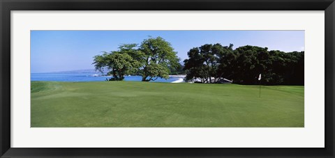 Framed Trees on a Golf Course, Manua Kea, Hawaii Print