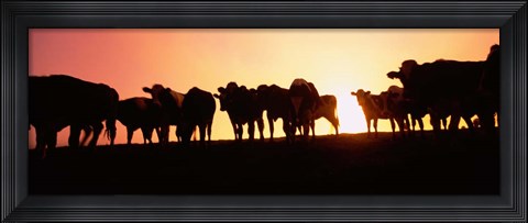 Framed Point Reyes National Seashore, California Print