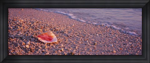 Framed Lovers Key State Park, Fort Myers Beach, Florida Print