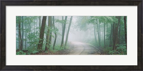 Framed Skyline Drive, Jackson-Washington State Forest, Indiana Print