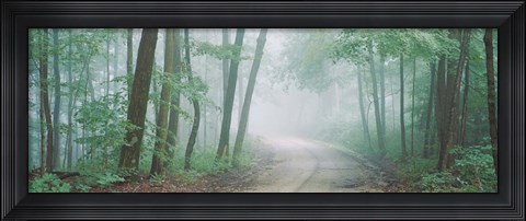 Framed Skyline Drive, Jackson-Washington State Forest, Indiana Print
