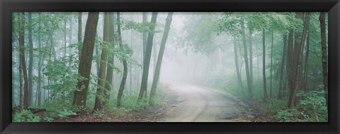 Framed Skyline Drive, Jackson-Washington State Forest, Indiana Print