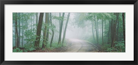 Framed Skyline Drive, Jackson-Washington State Forest, Indiana Print