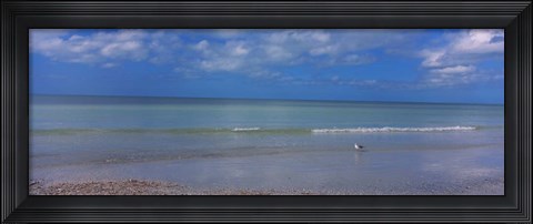 Framed Crescent Beach, Gulf Of Mexico, Florida Print