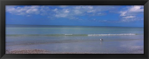 Framed Crescent Beach, Gulf Of Mexico, Florida Print