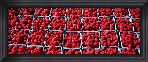 Framed Farmers Market Rochester, Minnesota Print