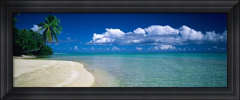 Framed Palm Tree in the French Polynesia Print