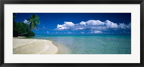 Framed Palm Tree in the French Polynesia Print