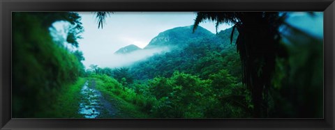 Framed Rainforest in Cayo District, Belize Print