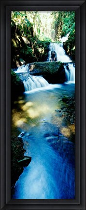 Framed Waterfall in Hilo, HI Print