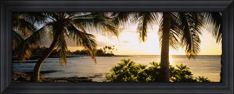 Framed Kohala Coast, Big Island, Hawaii Print