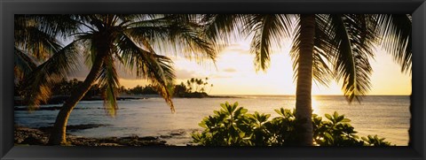 Framed Kohala Coast, Big Island, Hawaii Print