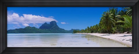 Framed Palm Trees in Bora Bora, French Polynesia Print