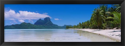 Framed Palm Trees in Bora Bora, French Polynesia Print