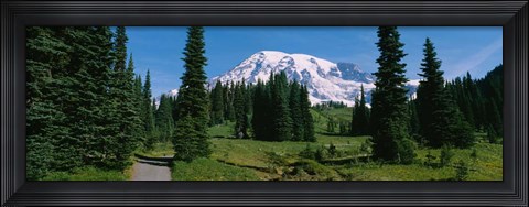 Framed Mt. Rainier National Park, Washington State Print