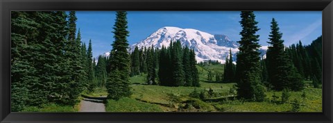 Framed Mt. Rainier National Park, Washington State Print