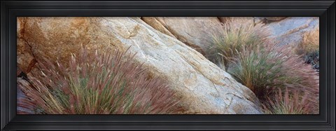 Framed Anza Borrego Desert State Park, Borrego Springs, California Print