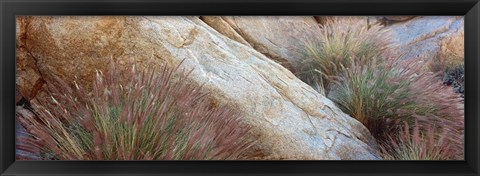 Framed Anza Borrego Desert State Park, Borrego Springs, California Print