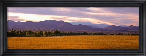 Framed Bosque Del Apache National Wildlife Refuge, New Mexico Print
