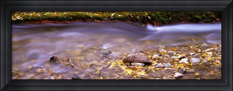 Framed Cimarron Creek, New Mexico Print
