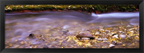 Framed Cimarron Creek, New Mexico Print