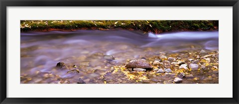 Framed Cimarron Creek, New Mexico Print