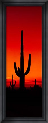 Framed Silhouette of Saguaro Cactus, Arizona Print