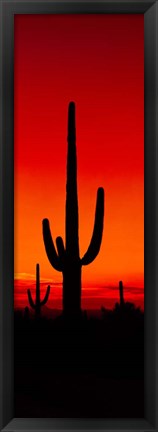 Framed Silhouette of Saguaro Cactus, Arizona Print