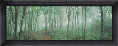 Framed Forest Niigata Martsunoyama-cho, Japan Print