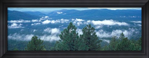 Framed Tonto National Forest, AZ Print