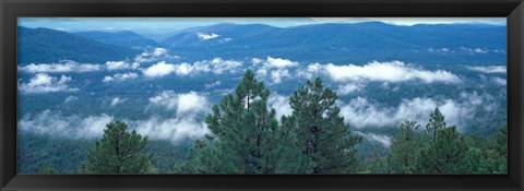 Framed Tonto National Forest, AZ Print