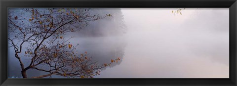 Framed Lake Vesuvius, Wayne National Forest, Ohio, Print