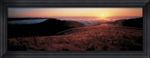 Framed Santa Cruz Mountains, CA Print