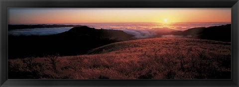 Framed Santa Cruz Mountains, CA Print