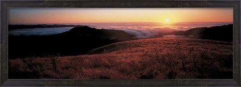 Framed Santa Cruz Mountains, CA Print