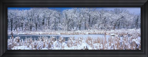 Framed Winter in Illinois Print