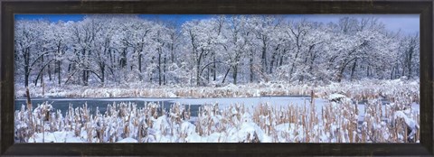 Framed Winter in Illinois Print