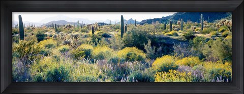 Framed Desert AZ Print