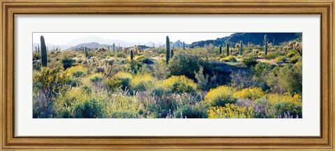 Framed Desert AZ Print