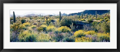 Framed Desert AZ Print