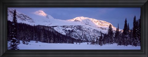 Framed Trophy Mountain, British Columbia, Canada Print
